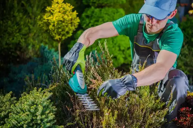 landscaping services Clarkson